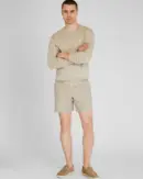 Baxter Micro-Stripe 7” Shorts